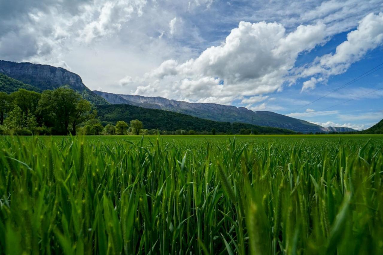 Les Aravis - Apartment For 6 People 5Min From The Lake Giez Екстериор снимка